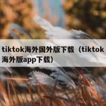 tiktok海外国外版下载（tiktok海外版app下载）