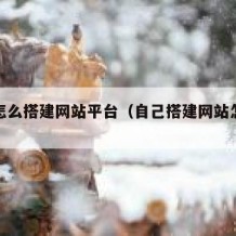 自己怎么搭建网站平台（自己搭建网站怎么赚钱）