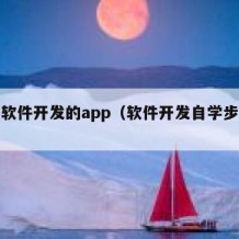 自学软件开发的app（软件开发自学步骤视频）