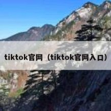 tiktok官网（tiktok官网入口）