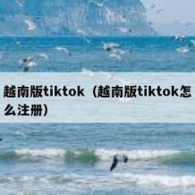 越南版tiktok（越南版tiktok怎么注册）