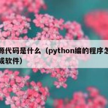 开源代码是什么（python编的程序怎么变成软件）