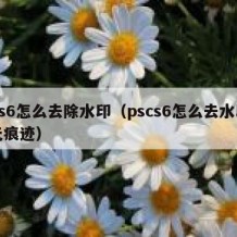 ps6怎么去除水印（pscs6怎么去水印无痕迹）