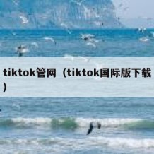 tiktok管网（tiktok国际版下载）