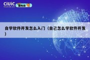 自学软件开发怎么入门（自己怎么学软件开发）