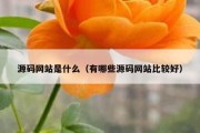 源码网站是什么（有哪些源码网站比较好）