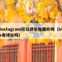 instagram可以评论加图片吗（ins有评论吗）