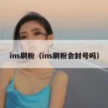 ins刷粉（ins刷粉会封号吗）