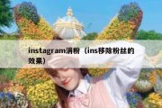 instagram消粉（ins移除粉丝的效果）