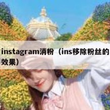 instagram消粉（ins移除粉丝的效果）