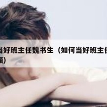 如何当好班主任魏书生（如何当好班主任魏书生视频）