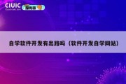 自学软件开发有出路吗（软件开发自学网站）
