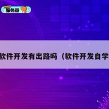 自学软件开发有出路吗（软件开发自学网站）
