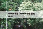 tiktok教程（tiktok教程 百度网盘）