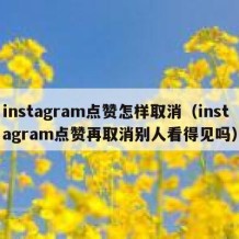 instagram点赞怎样取消（instagram点赞再取消别人看得见吗）