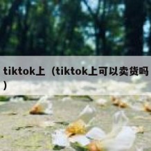 tiktok上（tiktok上可以卖货吗）