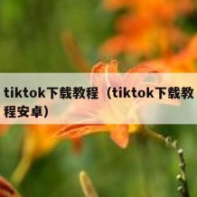 tiktok下载教程（tiktok下载教程安卓）