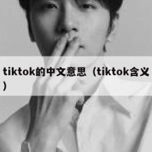 tiktok的中文意思（tiktok含义）