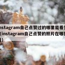 instagram自己点赞过的哪里能看到（instagram自己点赞的照片在哪里看）