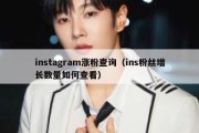 instagram涨粉查询（ins粉丝增长数量如何查看）