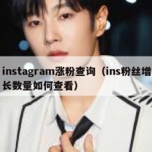 instagram涨粉查询（ins粉丝增长数量如何查看）