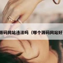 源码网站违法吗（哪个源码网站好）