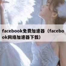 facebook免费加速器（facebook网络加速器下载）