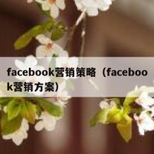 facebook营销策略（facebook营销方案）