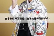 自学软件开发课程（自学软件开发好学吗）