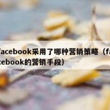 facebook采用了哪种营销策略（facebook的营销手段）