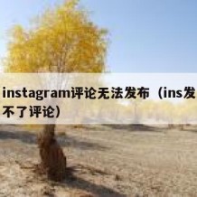 instagram评论无法发布（ins发不了评论）