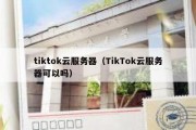 tiktok云服务器（TikTok云服务器可以吗）