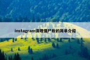 instagram清理僵尸粉的简单介绍