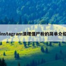 instagram清理僵尸粉的简单介绍