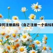 自己如何注册商标（自己注册一个商标要花多少钱）