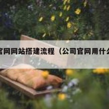 公司官网网站搭建流程（公司官网用什么建站程序）
