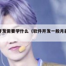 软件开发需要学什么（软件开发一般月薪多少）
