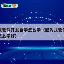 嵌入式软件开发自学怎么学（嵌入式软件开发自学怎么学好）
