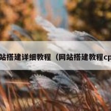 网站搭建详细教程（网站搭建教程cpp）