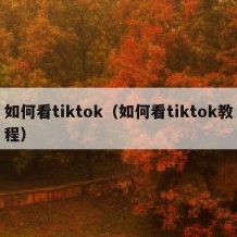 如何看tiktok（如何看tiktok教程）