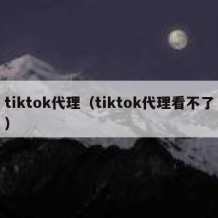 tiktok代理（tiktok代理看不了）