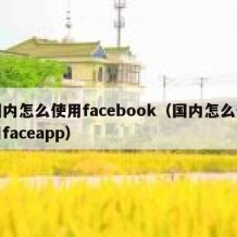 国内怎么使用facebook（国内怎么使用faceapp）