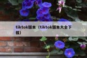 tiktok版本（tiktok版本大全下载）