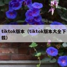 tiktok版本（tiktok版本大全下载）