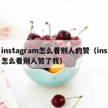 instagram怎么看别人的赞（ins怎么看别人赞了我）