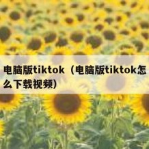 电脑版tiktok（电脑版tiktok怎么下载视频）