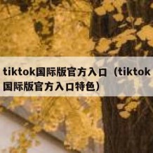 tiktok国际版官方入口（tiktok国际版官方入口特色）