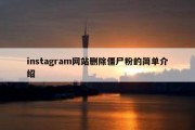 instagram网站删除僵尸粉的简单介绍