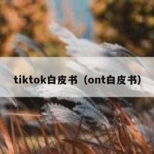 tiktok白皮书（ont白皮书）