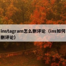 instagram怎么删评论（ins如何删评论）